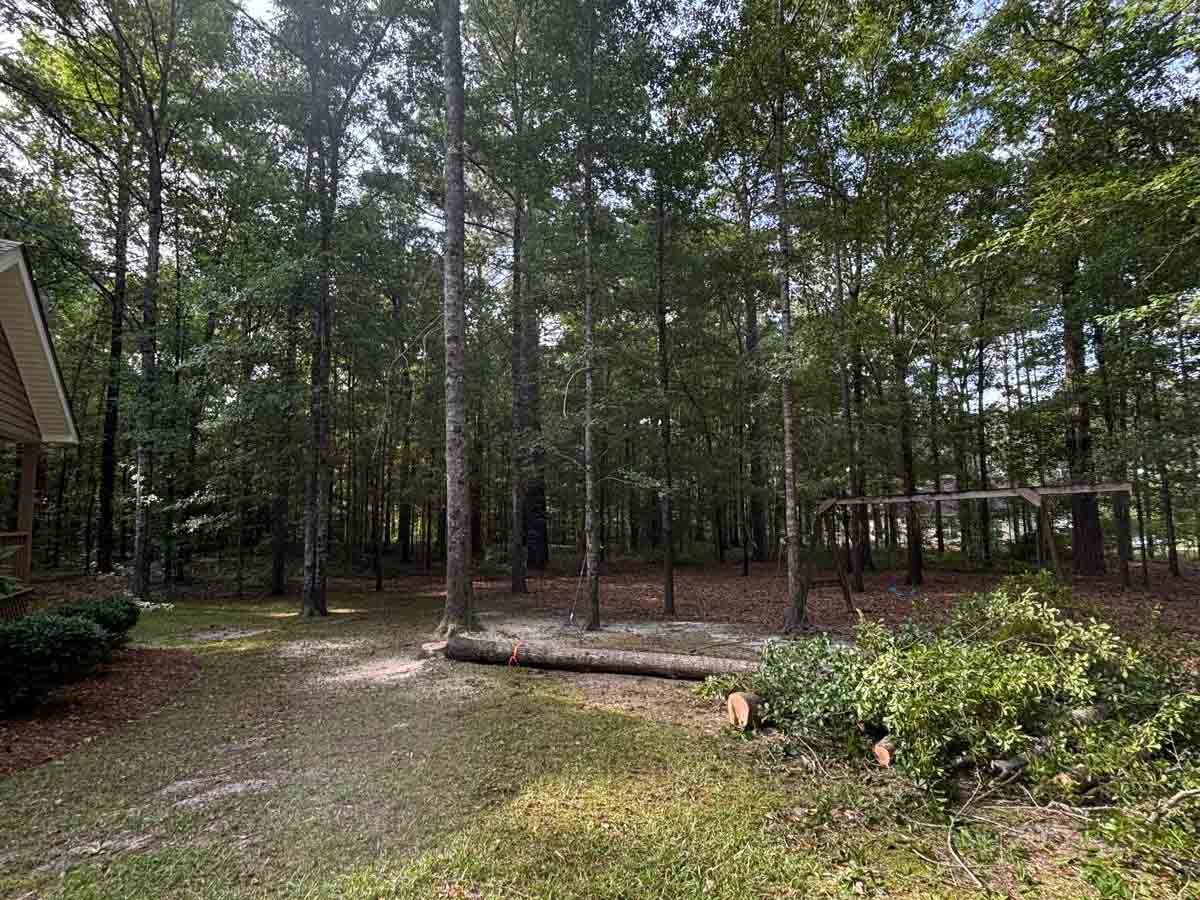 El Costeño Tree Service LLC